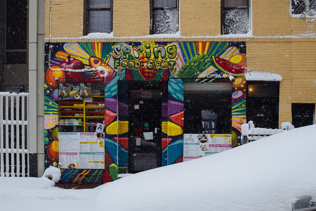 Whiteout - Astoria, Queens, during the February 2026 blizzard
