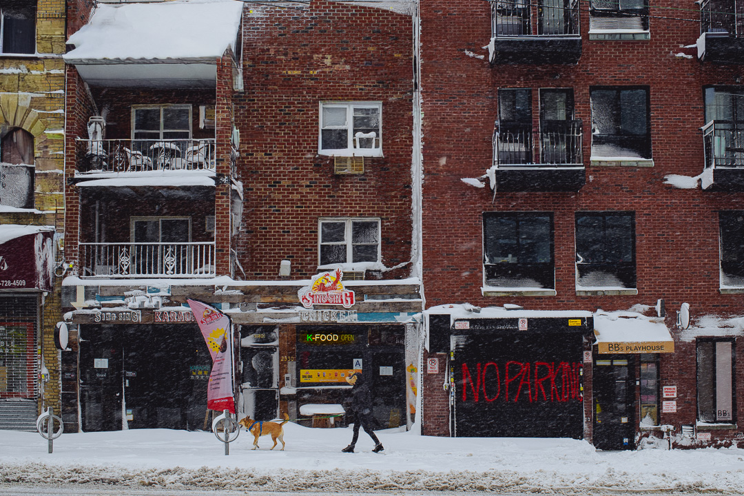 Whiteout - Astoria, Queens, during the February 2026 blizzard